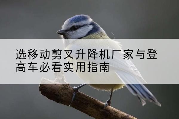 宁化电动升降机厂家-选移动剪叉升降机厂家与登高车必看实用指南