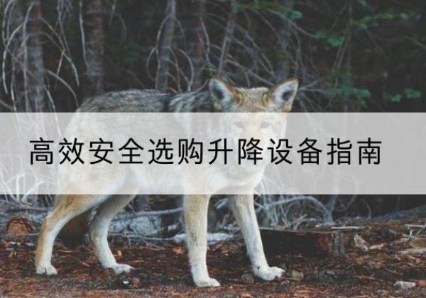 宁化升降货梯厂家推荐-*安全选购升降设备指南